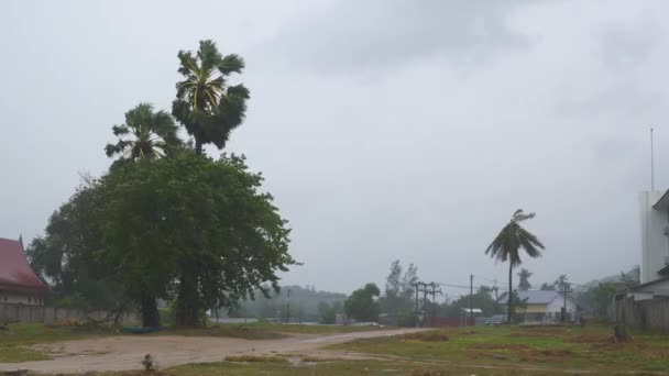 Tormenta Samui Isla Playa Costa Vista Aérea Tailandia — Vídeos de Stock