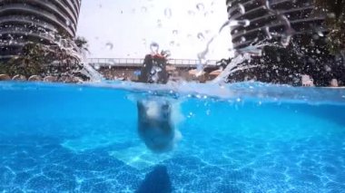 Sanya tatil köyü yüzme havuzu su altında 4k Hainan Çin