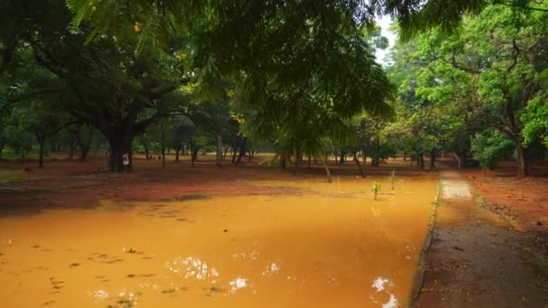 Dzień Bangalore Miasto Park Jezioro Panorama Indie — Wideo stockowe