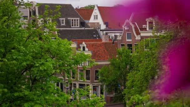 Amsterdam City Molnigt Day Canal Flerbostadshus Blommor Panorama Timelapse Nederländerna — Stockvideo