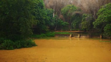 Gündüz Bangalore City Park Gölü Panorama 4k Hindistan