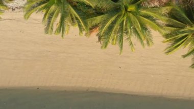 Akdeniz Kıyısı Manzarası