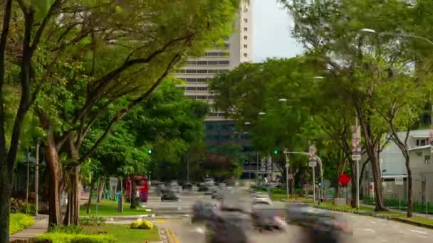 Singapur Şubat 2019 Gündüz Singapur Şehir Marina Bay Trafik Hava — Stok video
