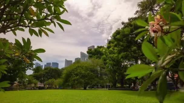 Singapore Singapore Mei 2019 Panoramisch Uitzicht Het Centrum Van Singapore — Stockvideo