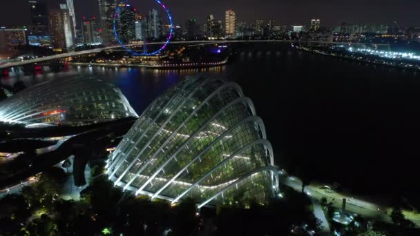 Σιγκαπούρη Ιουνίου 2019 Ημερήσια Προβολή Του Σύννεφου Δάσους Και Λουλουδιών — Αρχείο Βίντεο