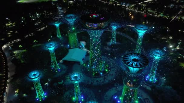 Singapur Leden 2019 Zahrady Zálivu Super Tree Centrum Panorama Cca — Stock video