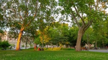 viyana şehir günbatımı zaman central park kare çayır panorama 4k timelapse avusturya