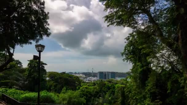 Singapore February 2019 Day Singapore City Marina Bay Air Panorama — 비디오