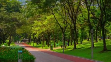 Kuala Lumpur şehri güneşli bir gün parkı manzarası 4k hızlandırılmış Malezya