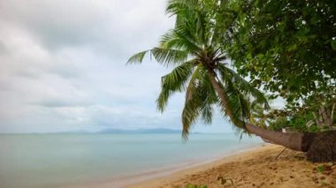 Akdeniz Kıyısı Manzarası