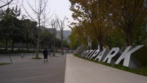 Este Chengdu Városközpont Park Járda Forgalom Utca Panoráma Porcelán — Stock videók