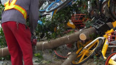 Gündüz vakti Guangzhou şehir merkezi sokak işçileri ağaç kesiyor.