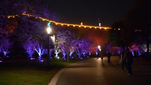 Iluminación Nocturna Del Famoso Mirador Del Parque Junto Lago China — Vídeos de Stock