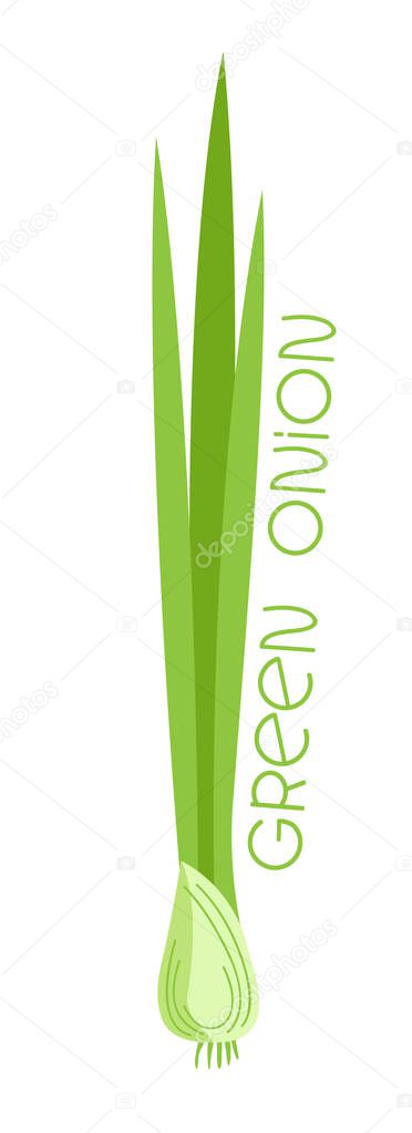 Green onion on white background