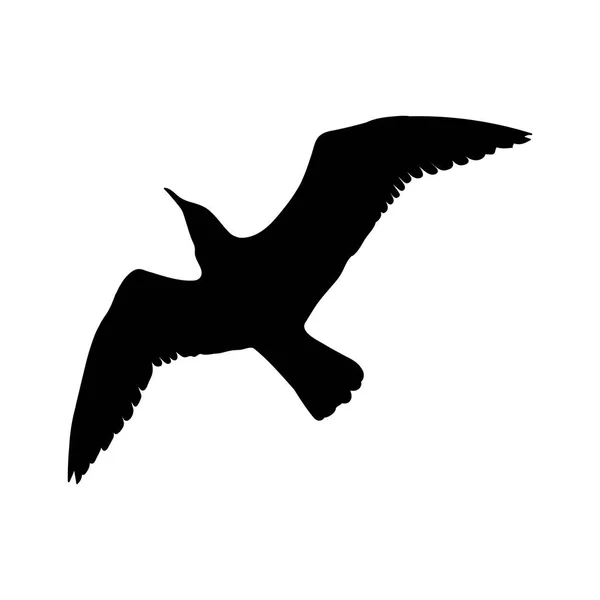 흰색 바탕에 검은 실루엣 절연 갈매기 새를 비행. 일러스트 레이 션 — 스톡 사진