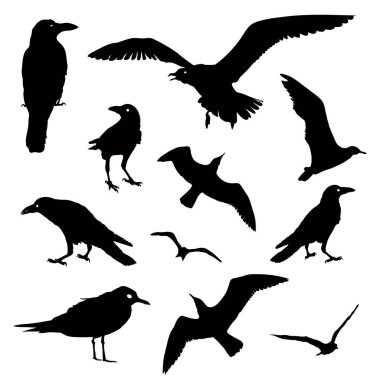  kuş silhouettes topluluğu