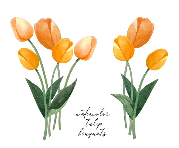 Букет тюльпанов с акварелью. Цветные тюльпаны на белом фоне. Ботаническая иллюстрация . — стоковое фото