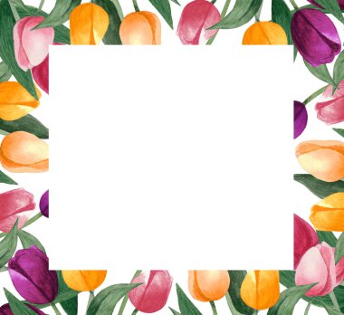 Suluboya lale kartı. Laleler çerçeve. Beyaz arka planda renkli laleler. Botanik illüstrasyon.