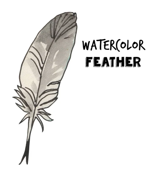 Aquarel Feather illustratie. Schrijf gereedschap. Hand getekende illustratie. — Stockfoto