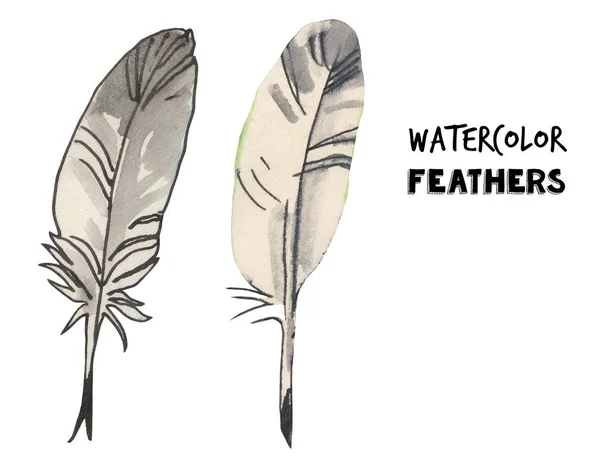 Aquarel Feather set illustratie. Schrijf gereedschap. Hand getekende illustratie. — Stockfoto