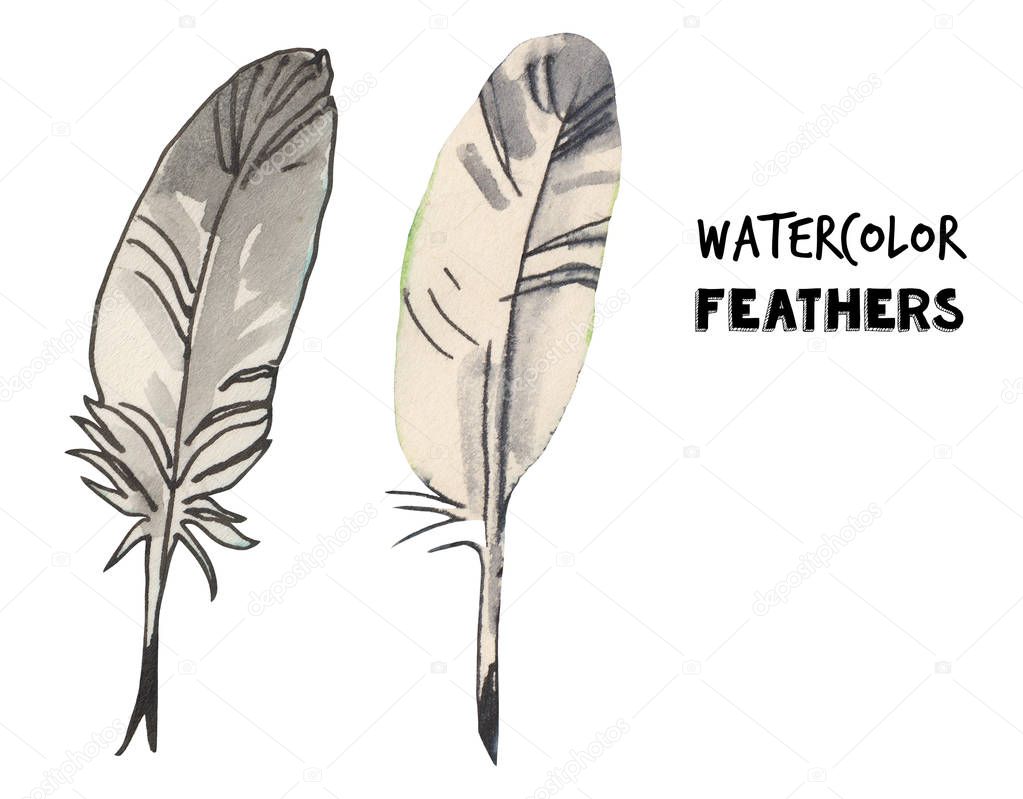 Watercolor feather set illustration.Writing tool. Hand drawn illustration.