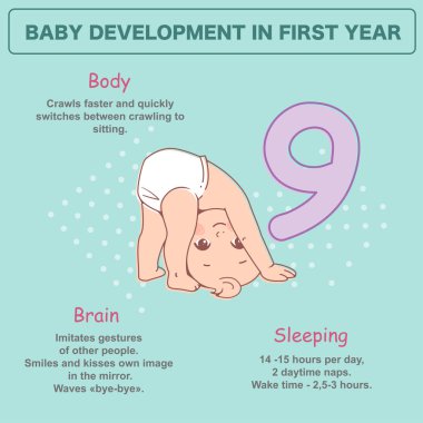 9 aylık küçük bebek. İlk yıl fiziksel, duygusal gelişim inancında. Bebek bezi standında sevimli küçük erkek ya da kız baş. Metin ile infographics. Vektör çizimi.