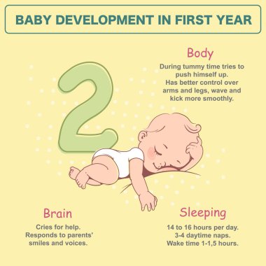 2 aylık küçük bebek. İlk yıl fiziksel, duygusal gelişim inancında. Sevimli küçük bebek erkek ya da bebek bezi uyku kız. İlk yıl. Metin ile infographics. Vektör çizimi.