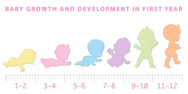 Crecimiento del bebé desde el recién nacido hasta la escala del niño pequeño . — Archivo Imágenes Vectoriales