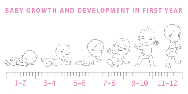 Bebis tillväxt från nyfödda till småbarns skalan. — Stock vektor