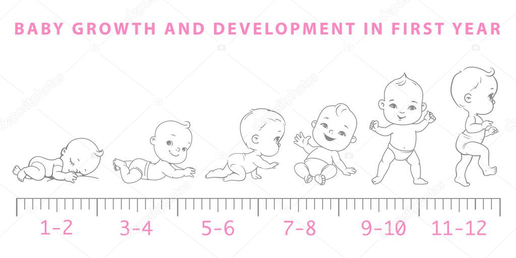 Crecimiento del bebé desde el recién nacido hasta la escala del - Main Image