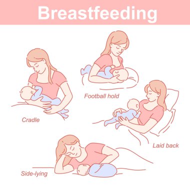 Emzirme pozisyonu ayarlandı. Anne ve bebek birlikte. Besleme başlangıcı için bilgi.