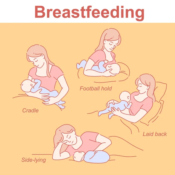 Breastfeeding positions set. Mother and baby together. Infographic for feeding start. — Stock Vector