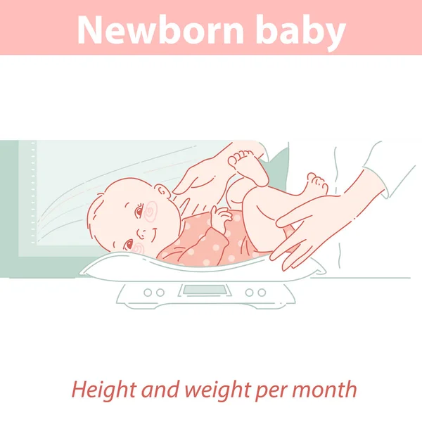 Pasgeboren baby op weegschaal. Kinderarts meet baby lengte en gewicht — Stockvector