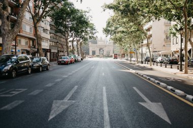 Valencia 'da yeşil ağaçlı bir sokak.