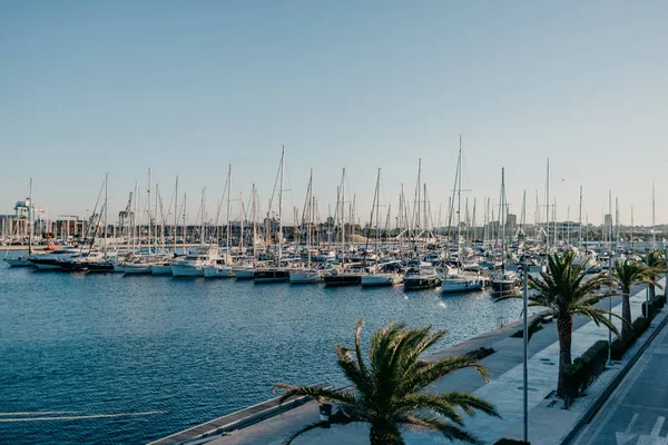 Seaport yatlar ve avuç içi akşam bir sürü 