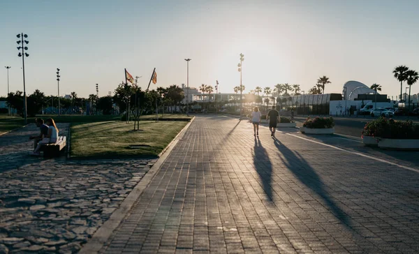 İki kişi gün batımına doğru gider. Akşam palmiye ağaçları ile arka planda mavi gökyüzü ile Valencia ve İspanya iki büyük bayrak 
