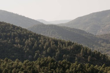 Çok güzel tepeler orman ile akşam İspanya'da kapalı