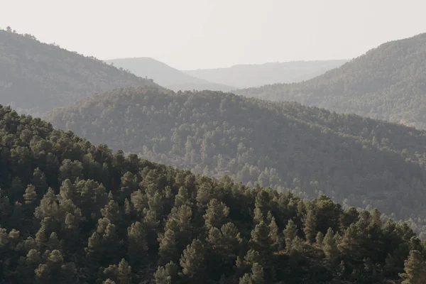 Montón Colinas Cubiertas Bosque Por Noche España —  Fotos de Stock