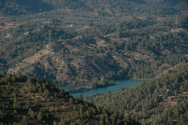 Emerald Lake Center Valley Covered Forest Evening Spain — Stock Photo, Image