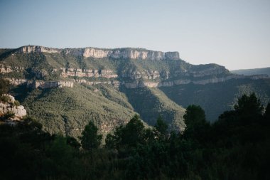 Harika büyük kanyon ile yeşil orman akşam İspanya'çerçeveli.