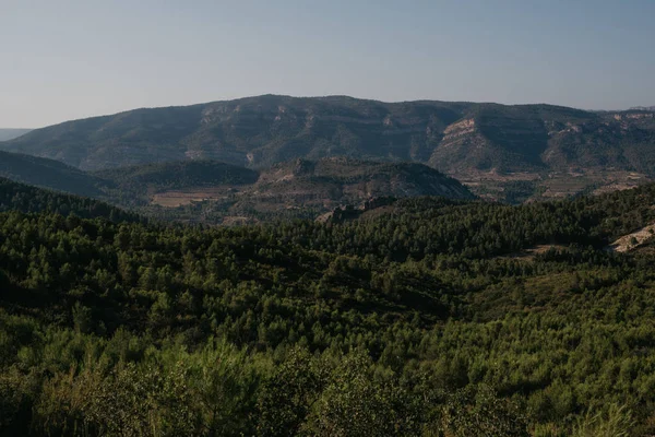 Bosque Verde Las Hermosas Colinas Distancia España Por Noche —  Fotos de Stock