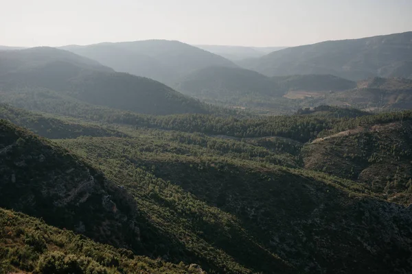 Montón Enormes Colinas Cubiertas Bosque Por Noche España —  Fotos de Stock