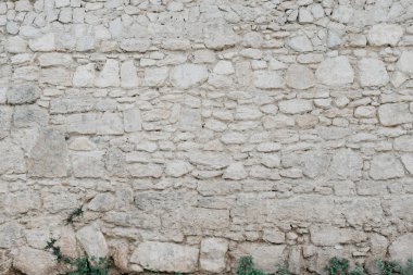 Çim altındaki gri taş duvarla. Taş dokusu. Farklı şekiller taşlarla