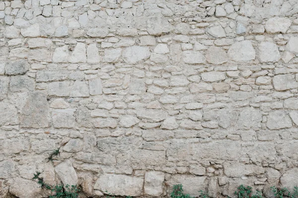 Çim altındaki gri taş duvarla. Taş dokusu. Farklı şekiller taşlarla