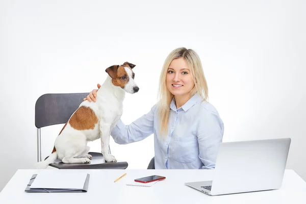 Mujer Rubia Joven Mira Recto Con Sonrisa Sostiene Jack Russell — Foto de Stock