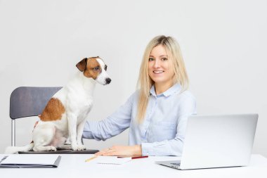 Genç sarışın sevimli beyaz kadın gülümsüyor, saatler düz, onun Jack Russell Terrier tutar ve beyaz arka plan ile Ofis Masası tarafından oturur. Köpek uzakta görünüyor. Dizüstü bilgisayar, cep telefonu ve belge