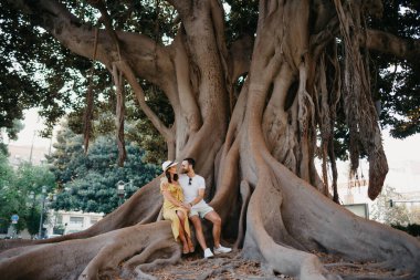 Şapkalı, sarı elbiseli genç bir kadın ve İspanya 'daki eski Valensiyalı Ficus Macrophylla' nın kökünde sakallı bir erkek arkadaşı oturuyor. Birkaç turist akşamları Valencia 'nın tadını çıkarıyor.