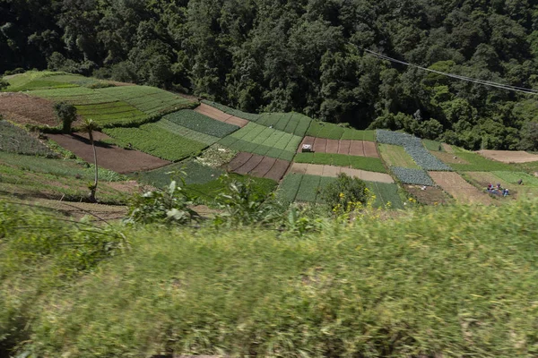 Montanha com campos vegetais- paisagem agrícola em l cidade de Guatemala — Fotografia de Stock