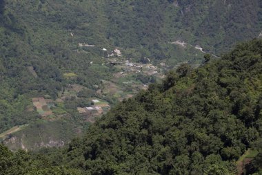 Guatemala'da ağaçlar ve doğa dolu kırsal dağların manzarası