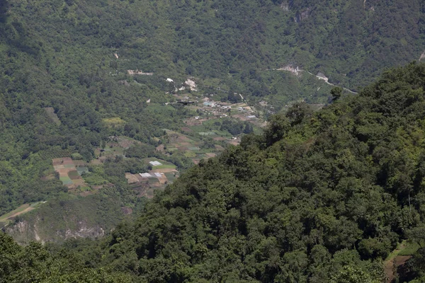 Guatemala'da ağaçlar ve doğa dolu kırsal dağların manzarası